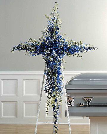 Blue Delphinium Cross