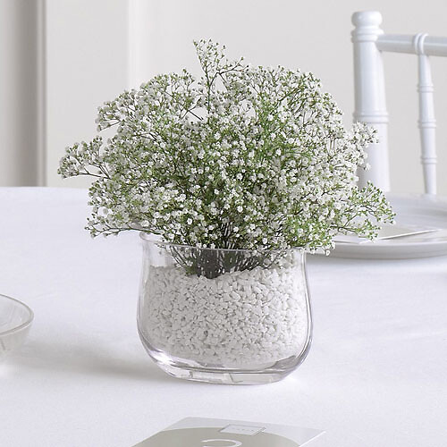 Baby&#039;s Breath Vase Arrangement