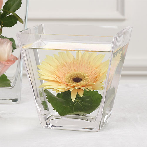 Gerbera Daisy Altar Arrangement